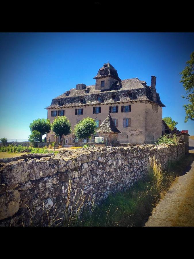 Chateau De Cours Sénezergues Dış mekan fotoğraf